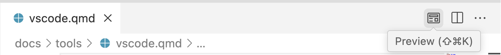 The top of the Visual Studio code editor. The right side of the editor tab area includes a Preview button.